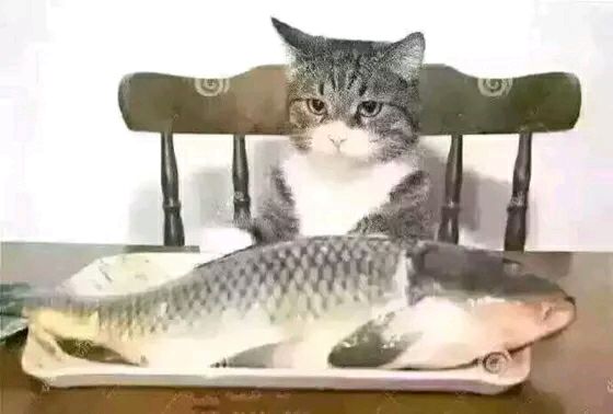喵