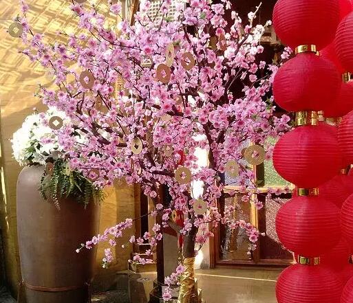 【实用】过年了，家里养这些植物大吉大利！你家有吗？