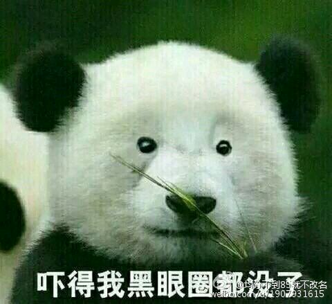 开发区有新东方吗？