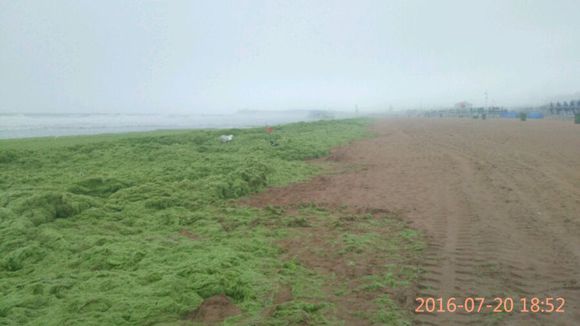 山区人民想到黄岛金沙滩看海，有事求助！！！本地通，网友
帮忙啊