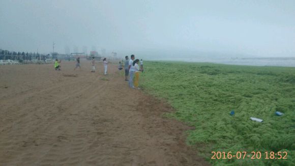 山区人民想到黄岛金沙滩看海，有事求助！！！本地通，网友
帮忙啊