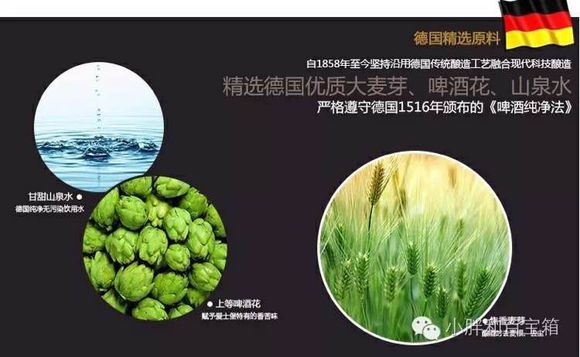 青岛啤酒节开始了