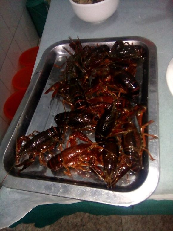 这儿
的吃货大神们，你们谁知道港头陈那个烧烤据点在哪里？