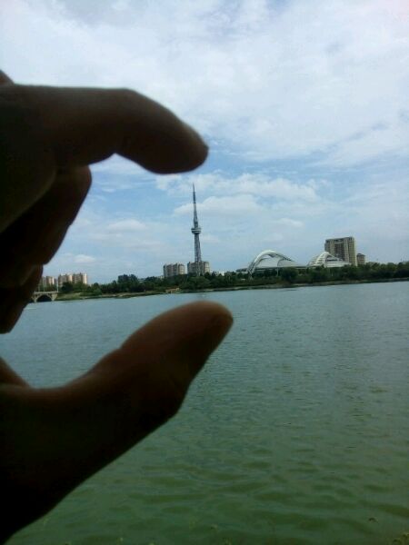 有多少人诸城人在黄岛，都出来我看看有多少