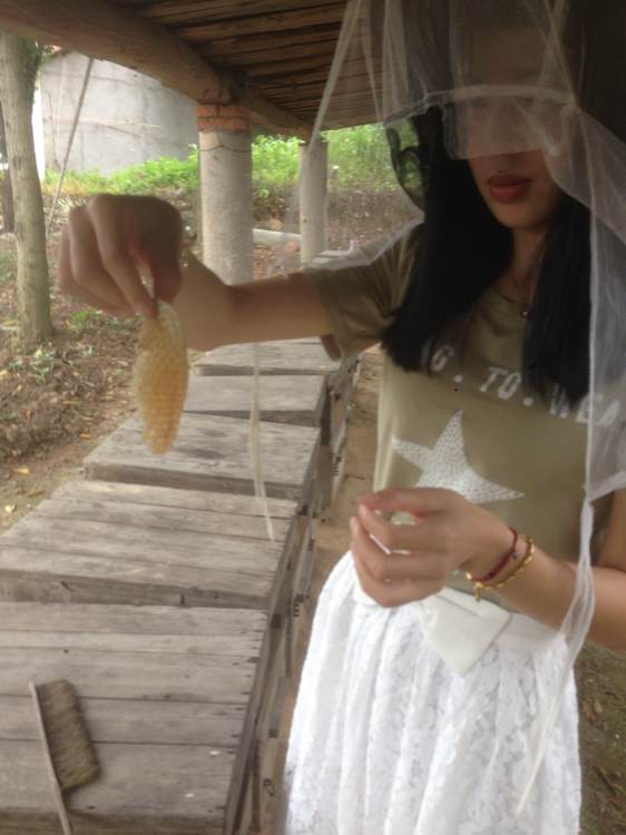 我的蜂场在湖北宜昌.作为一个女