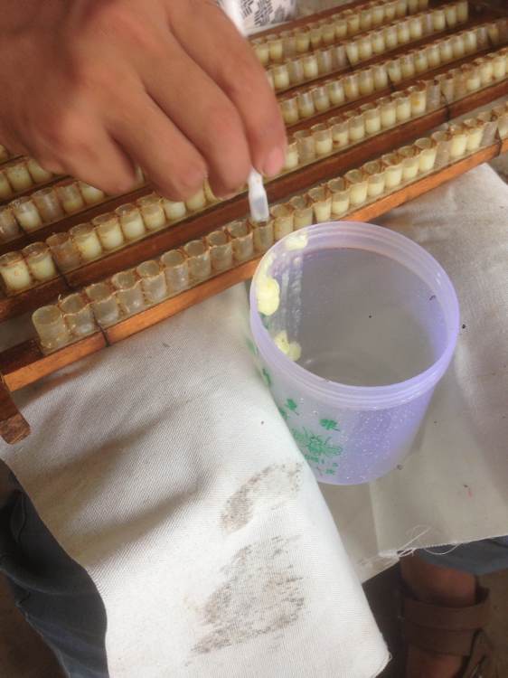 我的蜂场在湖北宜昌.作为一个女