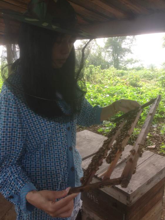 我的蜂场在湖北宜昌.作为一个女