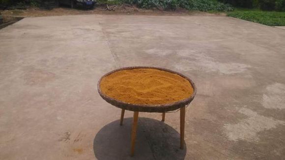 我的蜂场在湖北宜昌.作为一个女