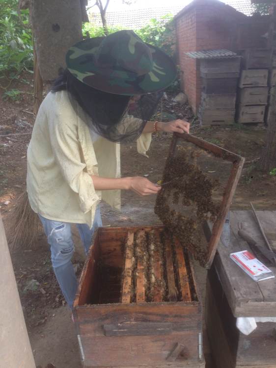我的蜂场在湖北宜昌.作为一个女