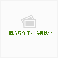 送养仓鼠