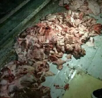 嫩看新闻了没有？小学的营养午餐竟然直接装泡沫箱里！
