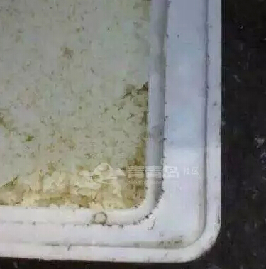 嫩看新闻了没有？小学的营养午餐竟然直接装泡沫箱里！