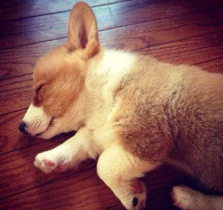 想去健身，世纪商城的黄金海岸是什么价位？？