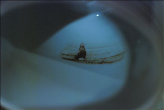 咖啡杯里的秘密
