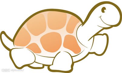 黄岛哪里有卖乌龟的啊？想买只养着玩。