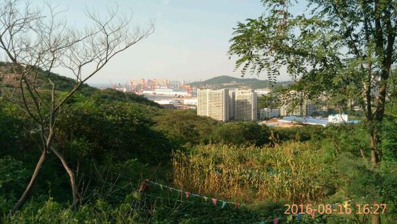 站滴高望的远！