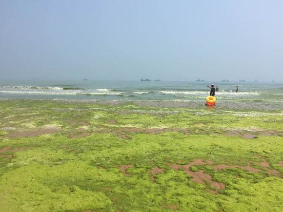 黄岛途游之黄岛金沙滩（金沙滩游记）