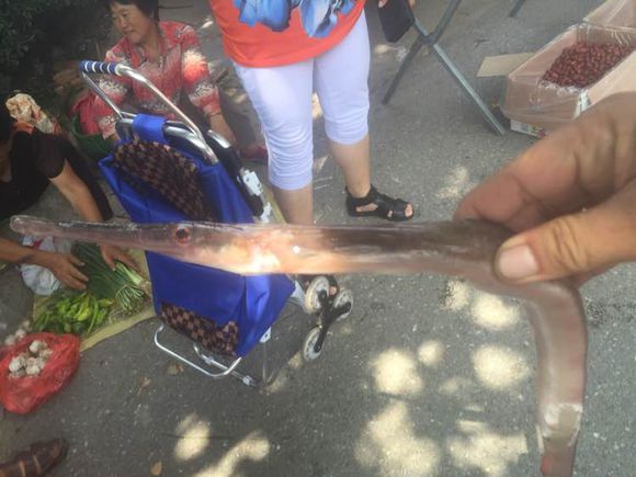 黄岛土著进，最好是打过鱼的