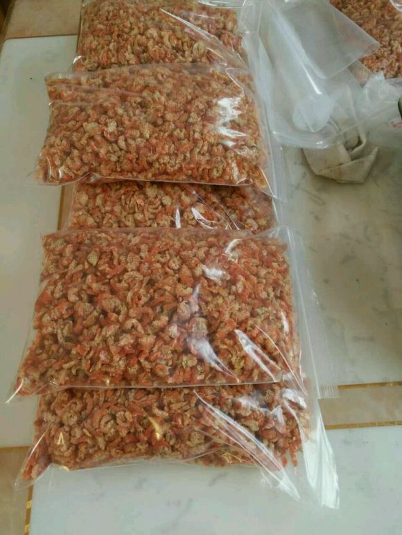 做为海边长大的人，有多人认识这个花花鱼？