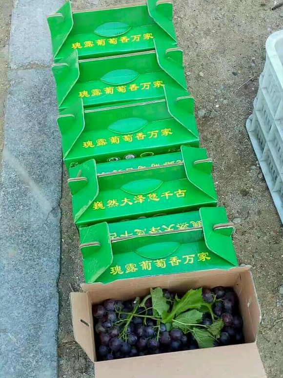 甘甜甘甜的大泽山葡萄