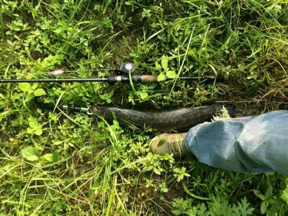 走一起钓鱼的不