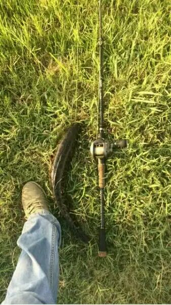 走一起钓鱼的不