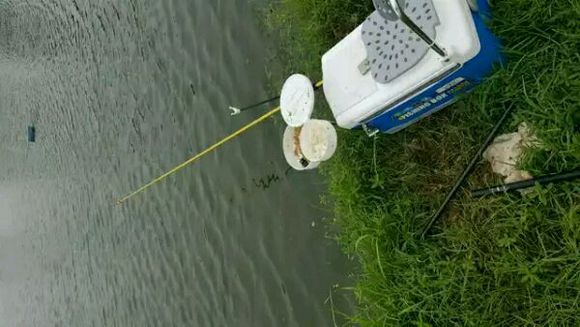 走一起钓鱼的不