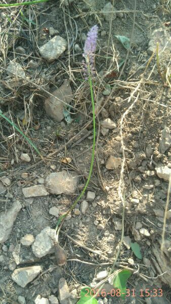 秋高气爽 登高望远