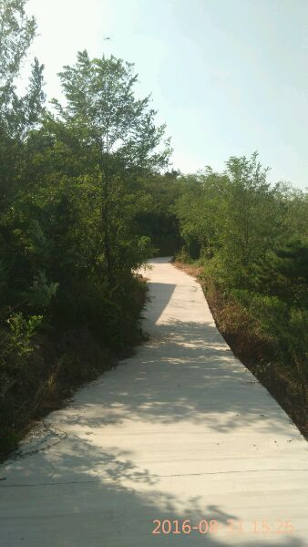 秋高气爽 登高望远