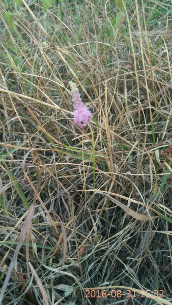 秋高气爽 登高望远