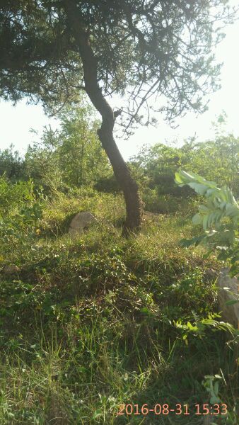 秋高气爽 登高望远