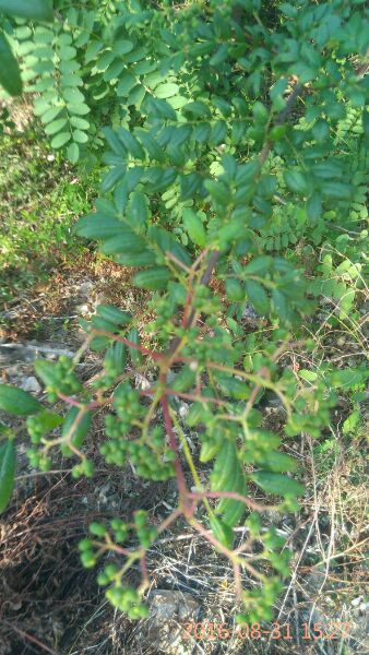 秋高气爽 登高望远