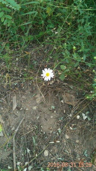 秋高气爽 登高望远