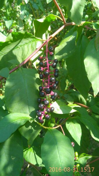 秋高气爽 登高望远