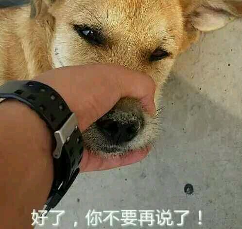 有来撸串的嘛，我请客