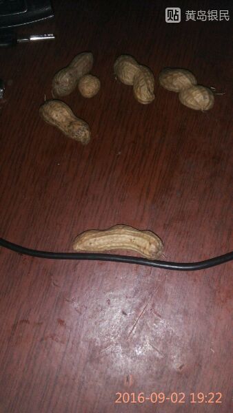 我又要煮花生了！