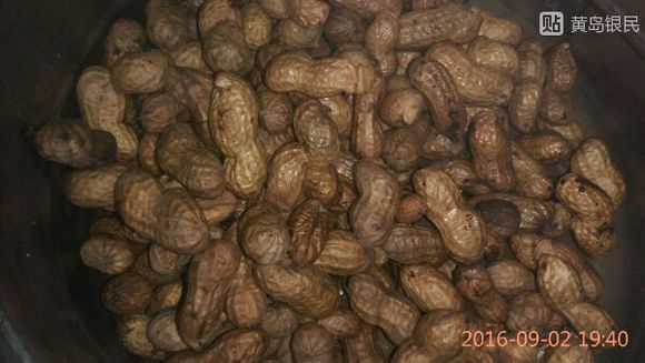 我又要煮花生了！