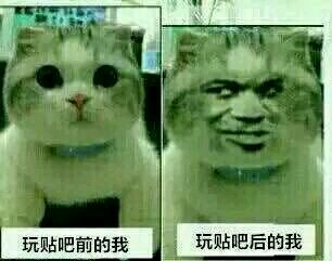 我哭的我素质够低了