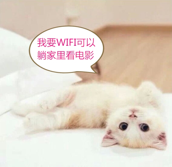 好无聊想看电影