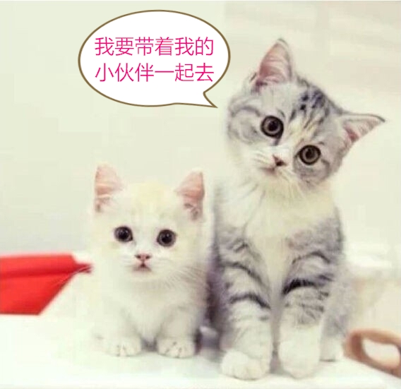 好无聊想看电影