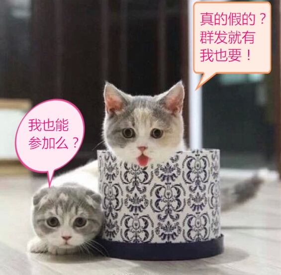 好无聊想看电影