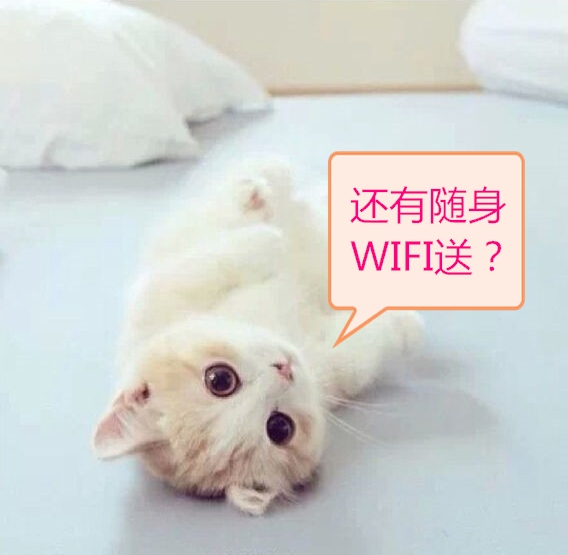 好无聊想看电影