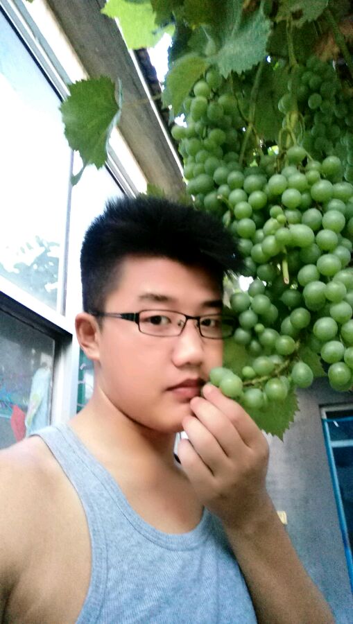 弱弱的问一句！我在高密要被遣送黄岛工资多少