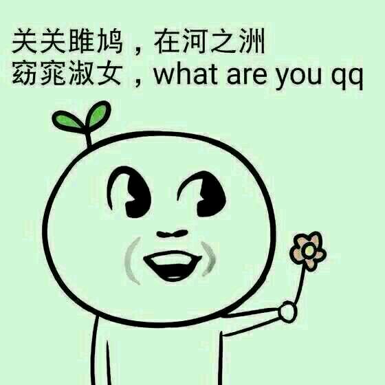 新人前来水一贴