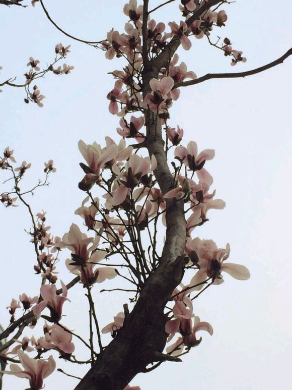 春分