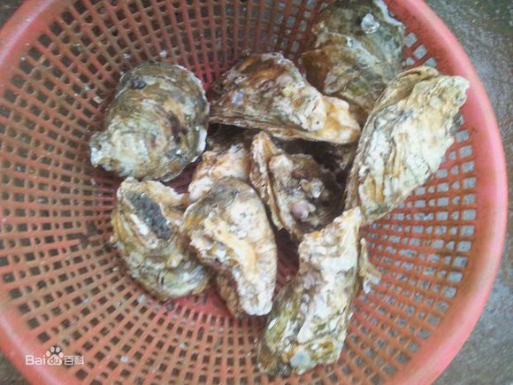 生蚝带壳蒸，需要蒸多久？从凉水开始计时