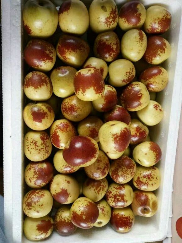 怎么过中秋，吃点啥？？