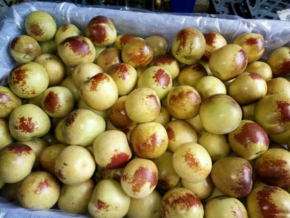 怎么过中秋，吃点啥？？