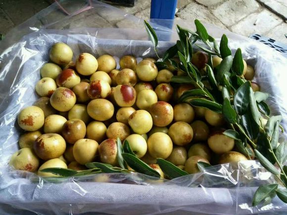 怎么过中秋，吃点啥？？