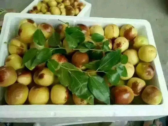 怎么过中秋，吃点啥？？